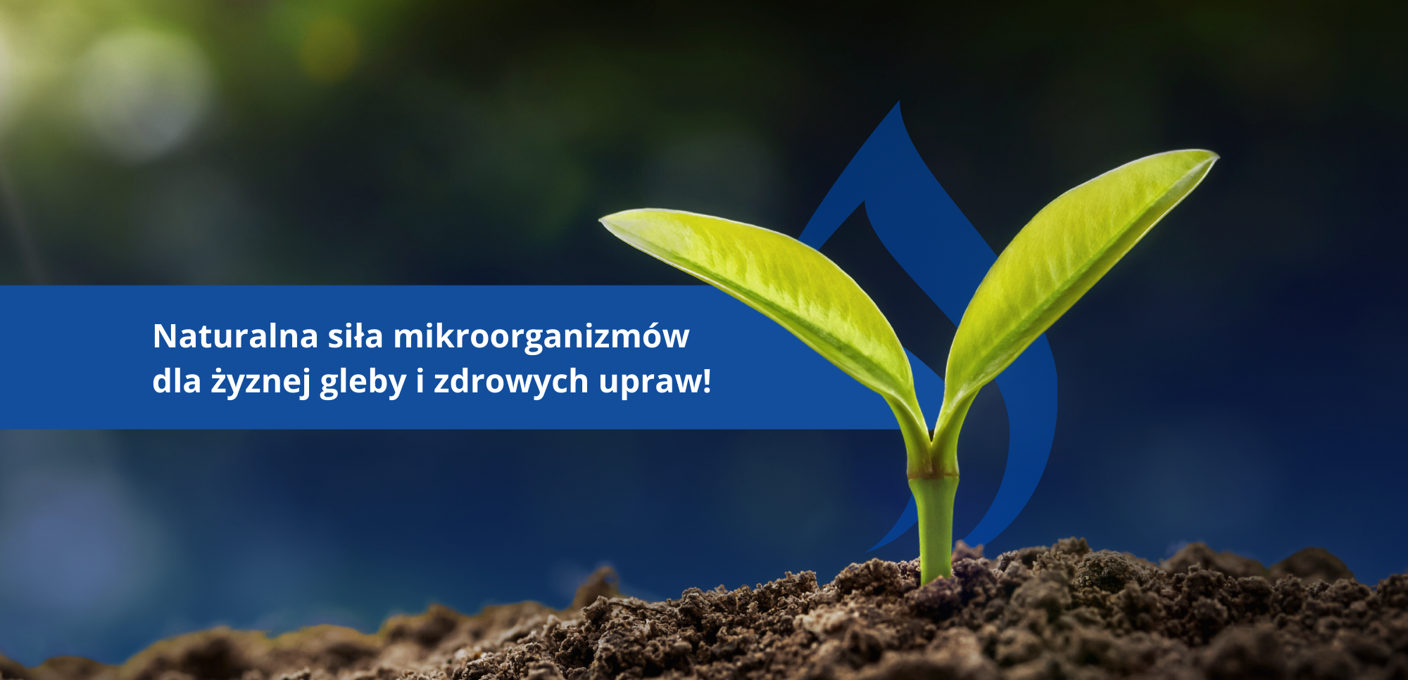 Uwolnij potencjał swojej gleby! (1)