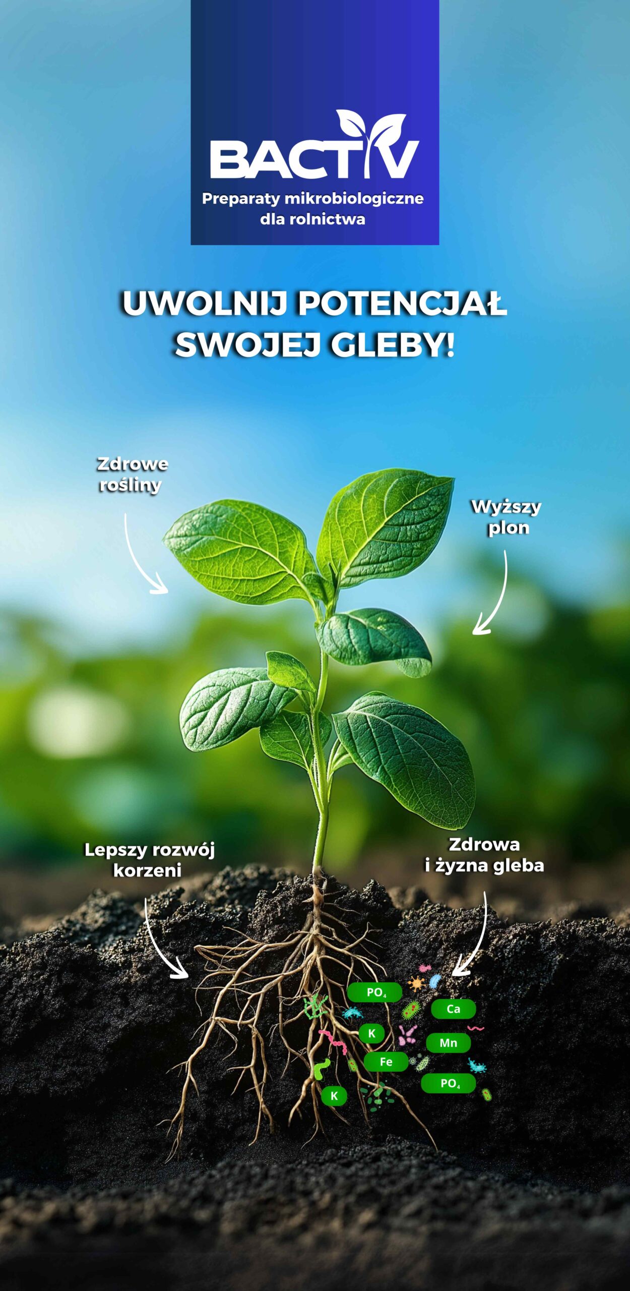 uwolnij potencjał